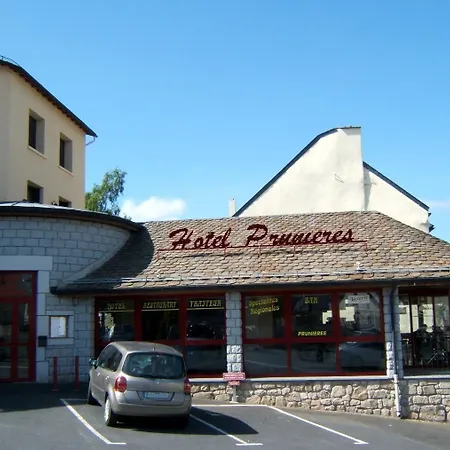 Отель Restaurant Prunieres